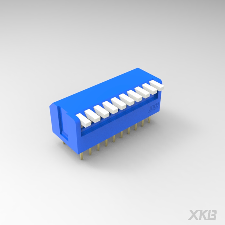 DPL-10BLP-XKB Connectivity